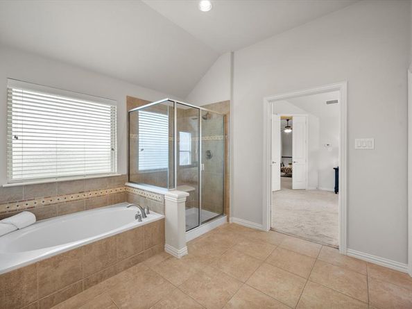1100  Badger Vine Lane , Arlington Texas 76005