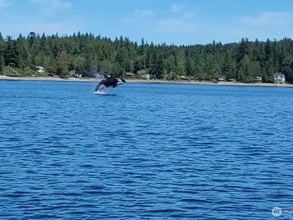1954 NE Grandview Boulevard, Keyport WA 98345