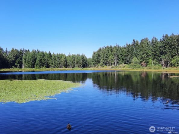 25025 SE Klahanie Boulevard D204, Sammamish WA 98029