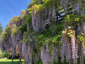 8505 236th Street SW, Edmonds WA 98026