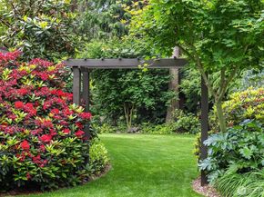 3908 142nd Place NE, Bellevue WA 98007