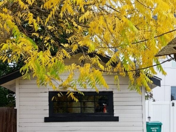 11044 1st Avenue NW, Seattle WA 98177