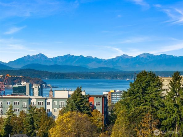 303 23rd Avenue S 310, Seattle WA 98144