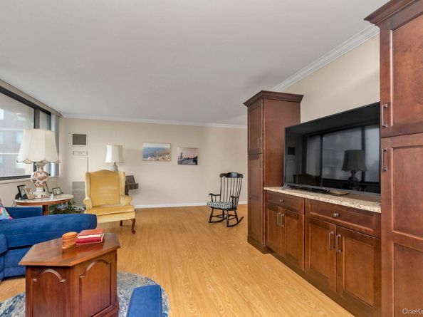 269-10 Grand Central Parkway 4V, Floral Park NY 11005