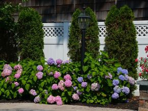 11 S Marion Place, Rockville Centre NY 11570