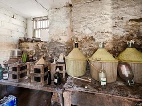 1631 Bogart Avenue, Bronx NY 10462