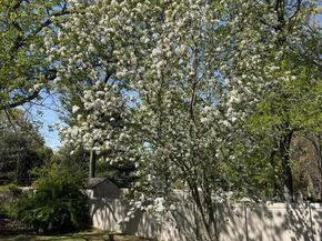 36 Storyland Lane, East Setauket NY 11733
