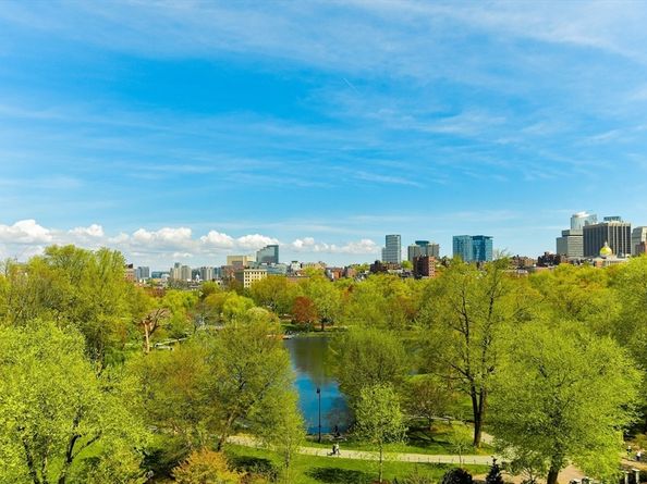 300 Boylston St 714, Boston MA 02116