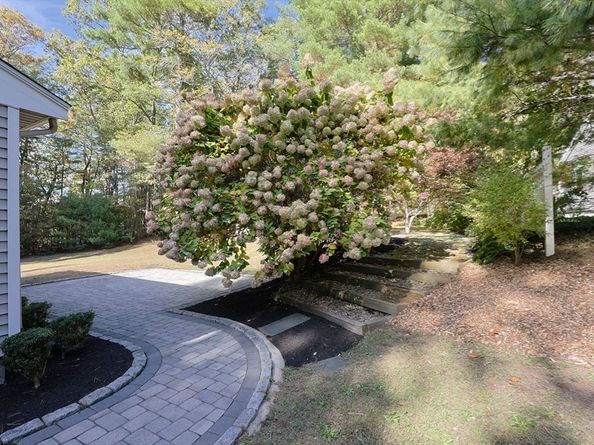 28 Forest Road, Millis MA 02054