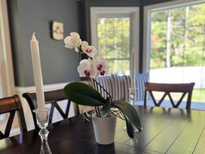 23 Fredrickson Rd, Norfolk MA 02056