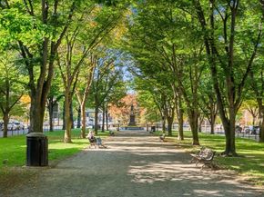 395 Commonwealth Avenue, Boston MA 02215