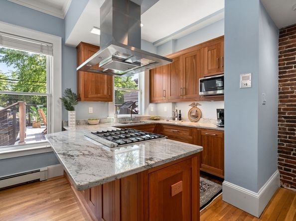 203 West Springfield Street 1, Boston MA 02118