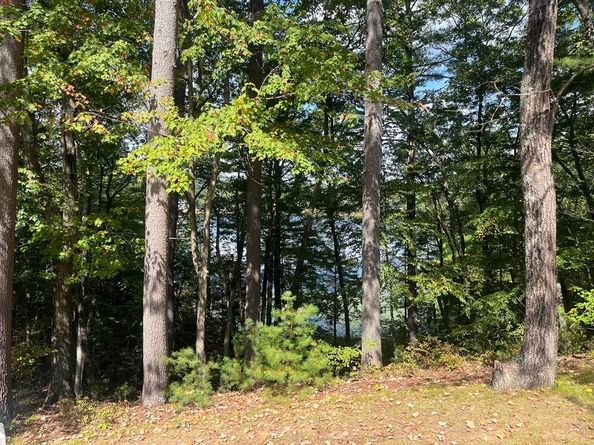 18B Pilgrim Dr 24, Westford MA 01886