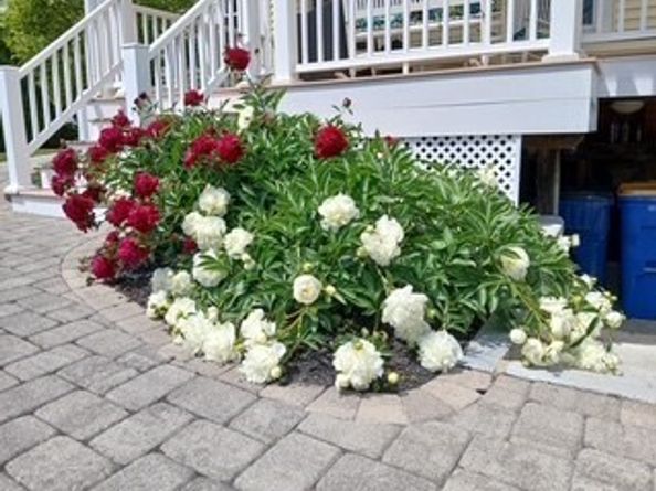 68 High St, Randolph MA 02368