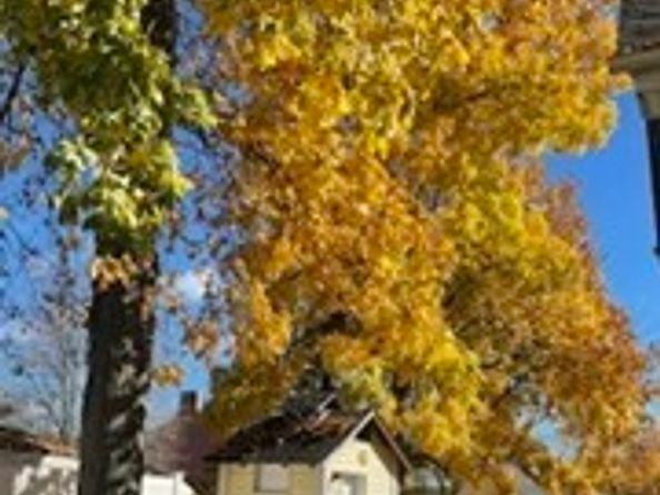 68 High St, Randolph MA 02368