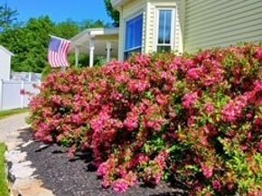 68 High St, Randolph MA 02368