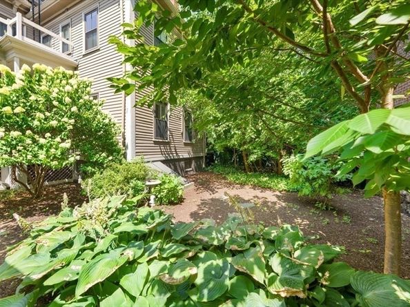 26 Linnaean Street 3, Cambridge MA 02138