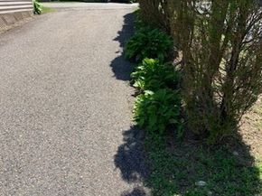 1468 Washington Street, Walpole MA 02081