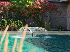 44 Washington St 1113, Brookline MA 02446
