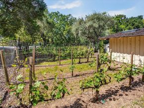 14176 Quail Acres, Saratoga CA 95070