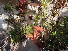 10296 NW 9th St Cir 202, Miami FL 33172