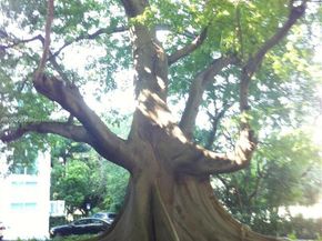 1861 NW S River Dr 2601, Miami FL 33125