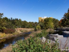 444 Bedford Street APT 8F, Stamford CT 06901