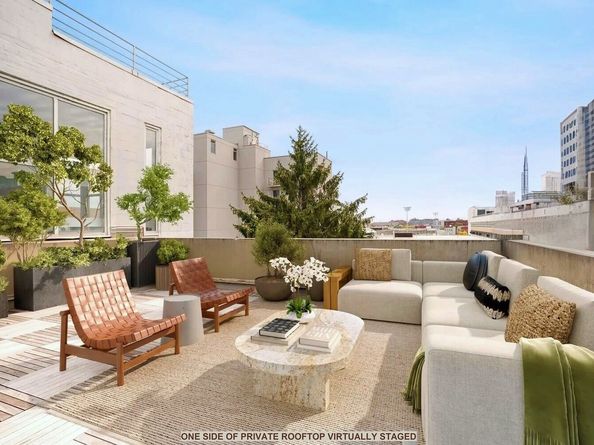 290 Powers Street PH, Brooklyn NY 11211