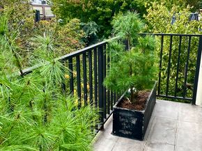 290 Powers Street PH, Brooklyn NY 11211