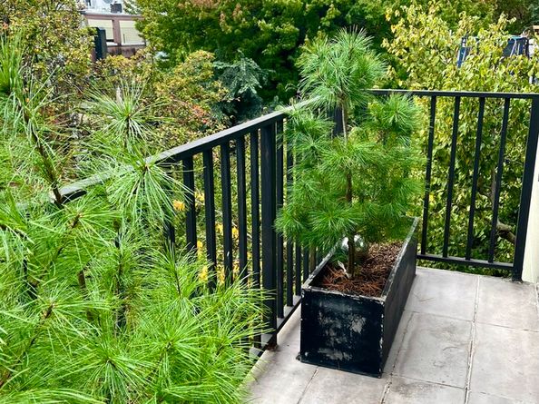 290 Powers Street PH, Brooklyn NY 11211