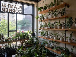 1787 Madison Avenue 305, New York NY 10035