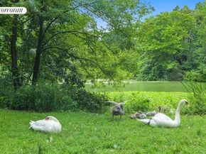 514 9th Street 3, Brooklyn NY 11215