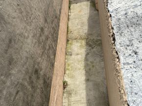 321 Milford Street, Brooklyn NY 11208