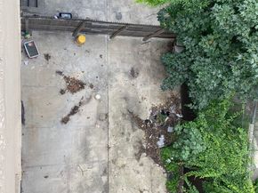 321 Milford Street, Brooklyn NY 11208