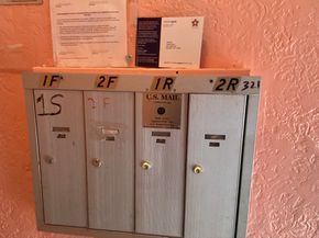 321 Milford Street, Brooklyn NY 11208