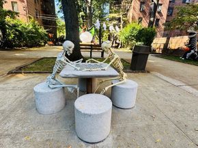 32-22 91st Street 106, Queens NY 11369