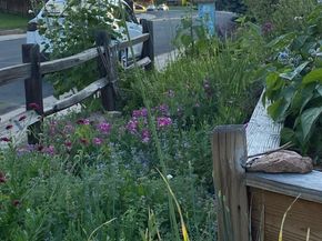 6637 W 95th Place, Broomfield CO 80021