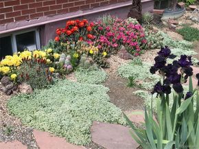 7028 Otis Court, Arvada CO 80003