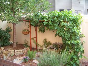 2029 Gyros Circle 164, Lafayette CO 80026