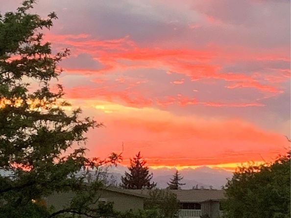 795 S Alton Way 5D, Denver CO 80247