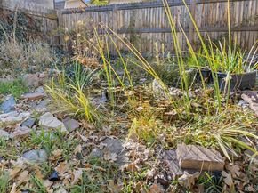 6910 Reno Drive, Arvada CO 80002