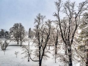 1265 Race Street 506, Denver CO 80206