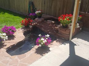 4786 Teller Street, Wheat Ridge CO 80033