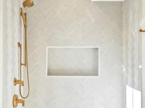 547 S Williams Street, Denver CO 80209