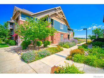804 Summer Hawk Drive