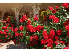 1035 Rosehill Drive, Boulder CO 80302