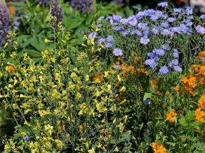 3630 N Fillmore Street, Denver CO 80205