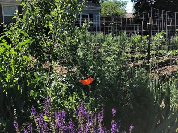 3630 N Fillmore Street, Denver CO 80205