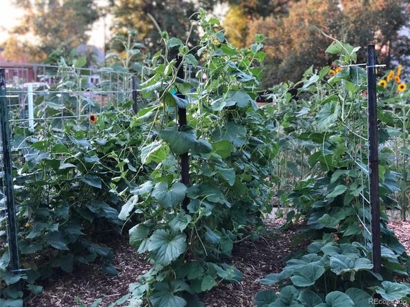 3630 N Fillmore Street, Denver CO 80205