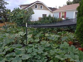 3630 N Fillmore Street, Denver CO 80205